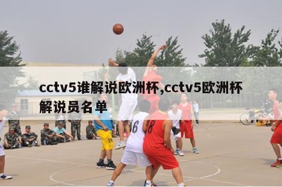 cctv5谁解说欧洲杯,cctv5欧洲杯解说员名单