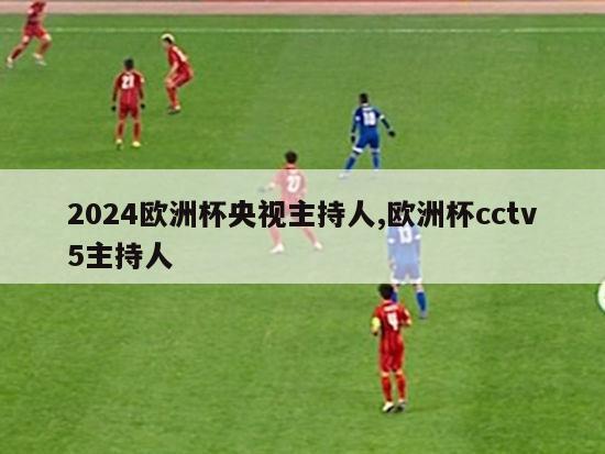 2024欧洲杯央视主持人,欧洲杯cctv5主持人