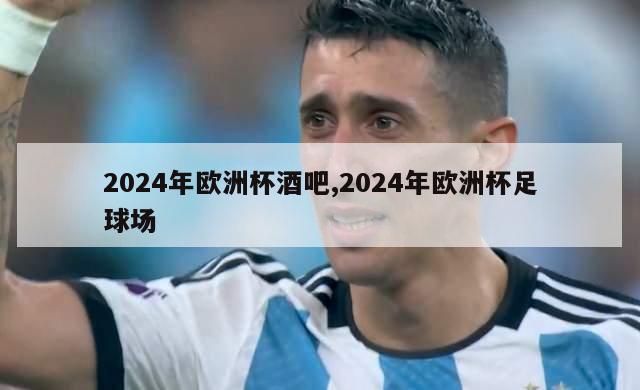 2024年欧洲杯酒吧,2024年欧洲杯足球场