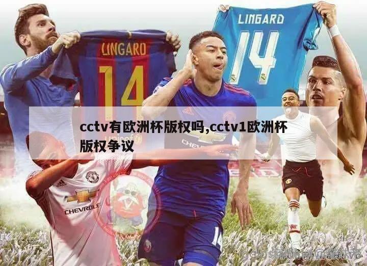 cctv有欧洲杯版权吗,cctv1欧洲杯版权争议