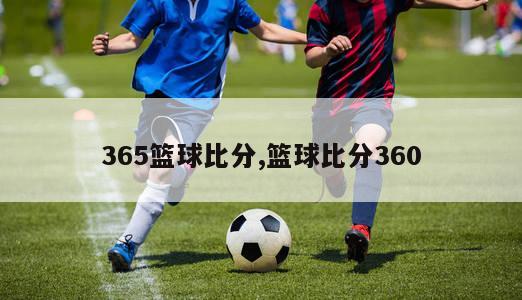 365篮球比分,篮球比分360