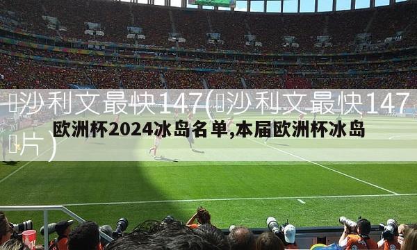 欧洲杯2024冰岛名单,本届欧洲杯冰岛