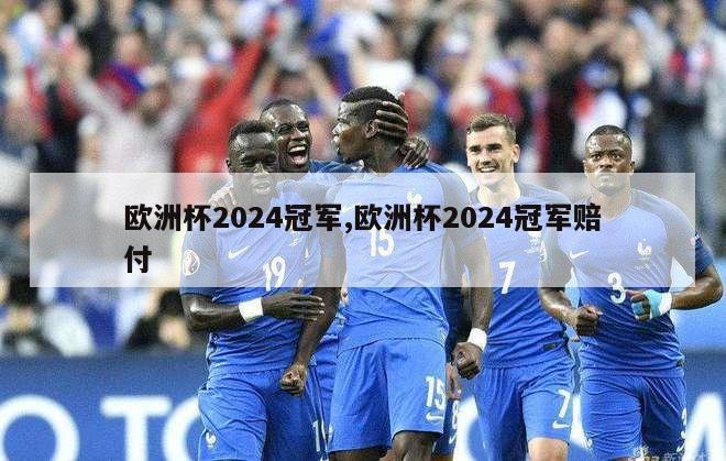 欧洲杯2024冠军,欧洲杯2024冠军赔付