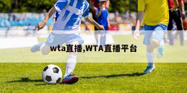 wta直播,WTA直播平台