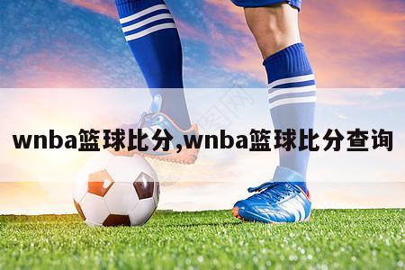 wnba篮球比分,wnba篮球比分查询