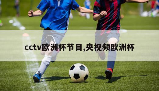 cctv欧洲杯节目,央视频欧洲杯